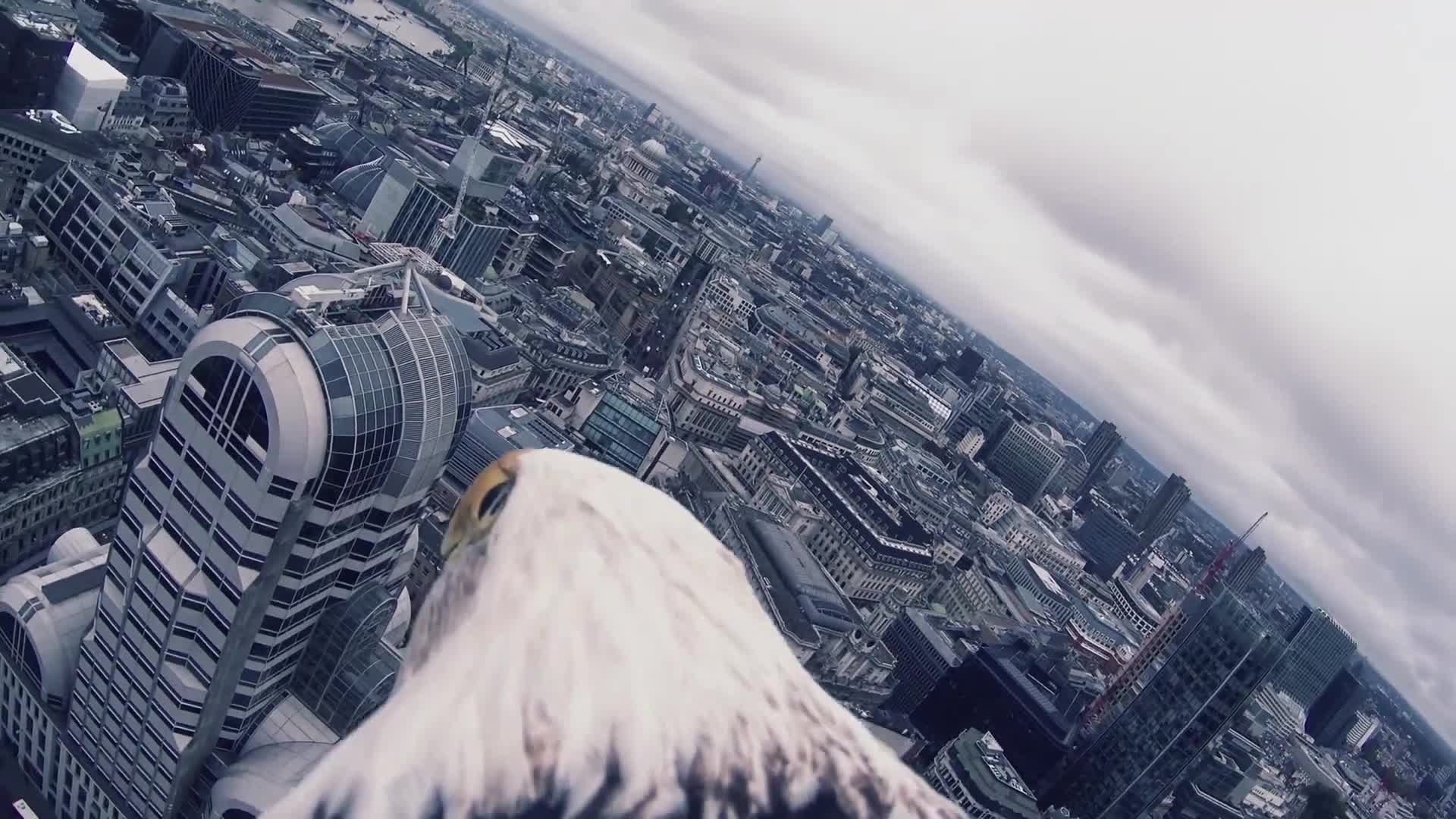 Assassins Creed Syndicate - Eagle Vision