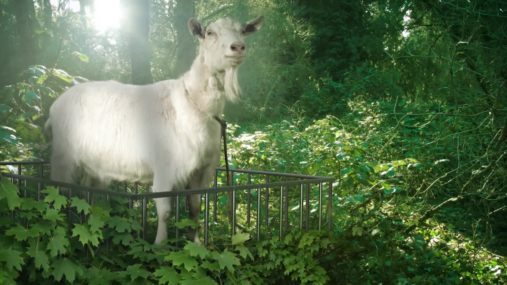 Goat Simulator - Xbox trailer