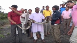 Faily mesiaca september