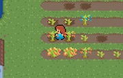 All Alone in a Small Island