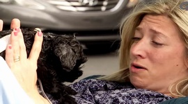 ene sa narod pes - skryt kamera