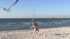 Najlep�ie faily tohto roka (2018)