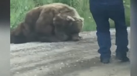 Najvie faily roka 2019 - Top 20