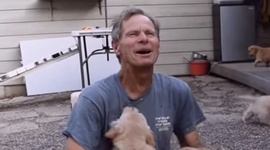 al tok hroznch psov na loveka