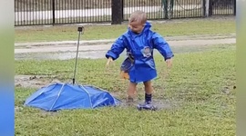 Sneh, d, failujeme stle