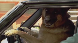 Skryt kamera s autami