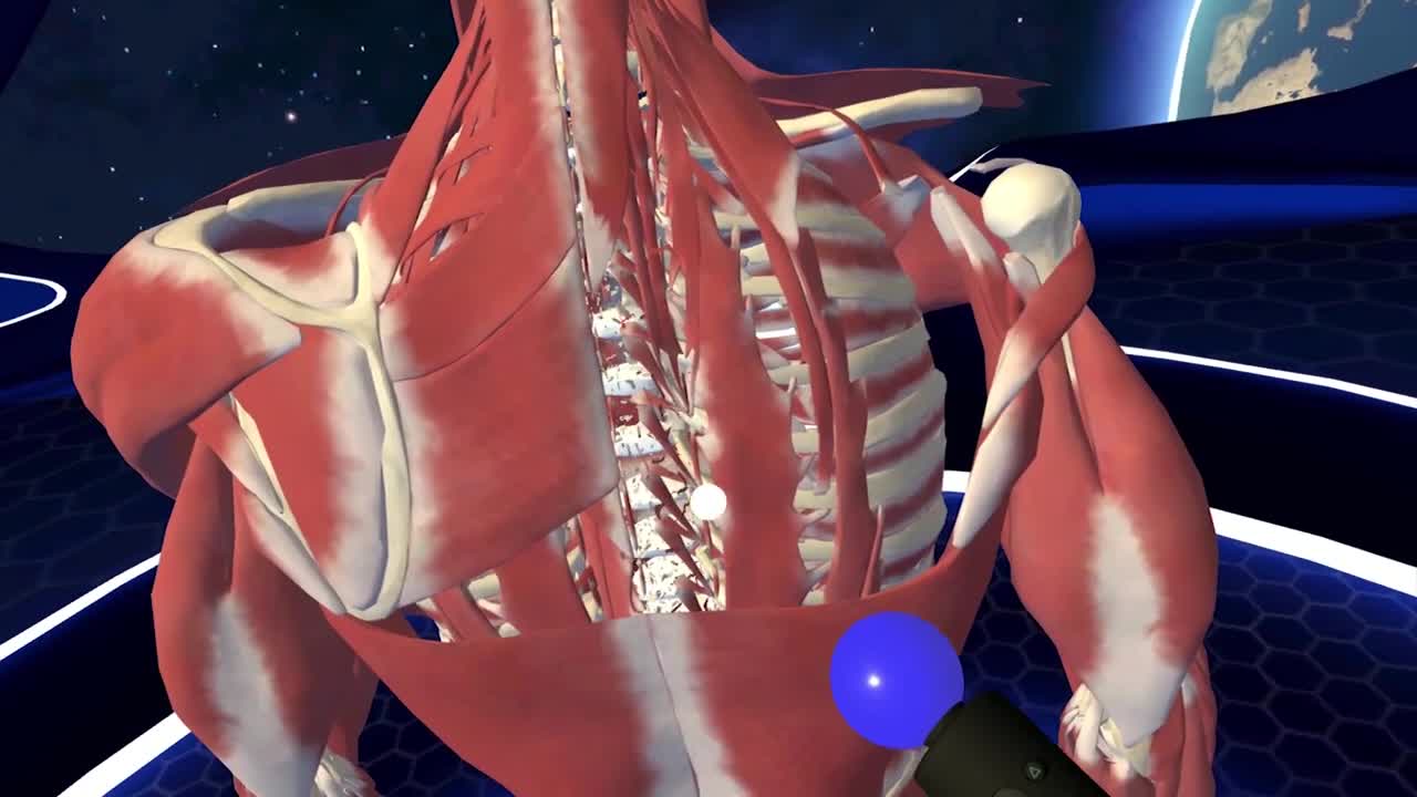 Human Anatomy VR prina anatmiu udskho tela na PS VR