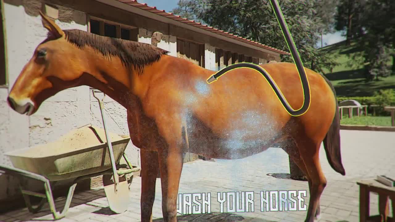 Horse Shelter 2021 vs pover starostlivosou o kone