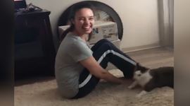 Zbierka zl�ch n�padov