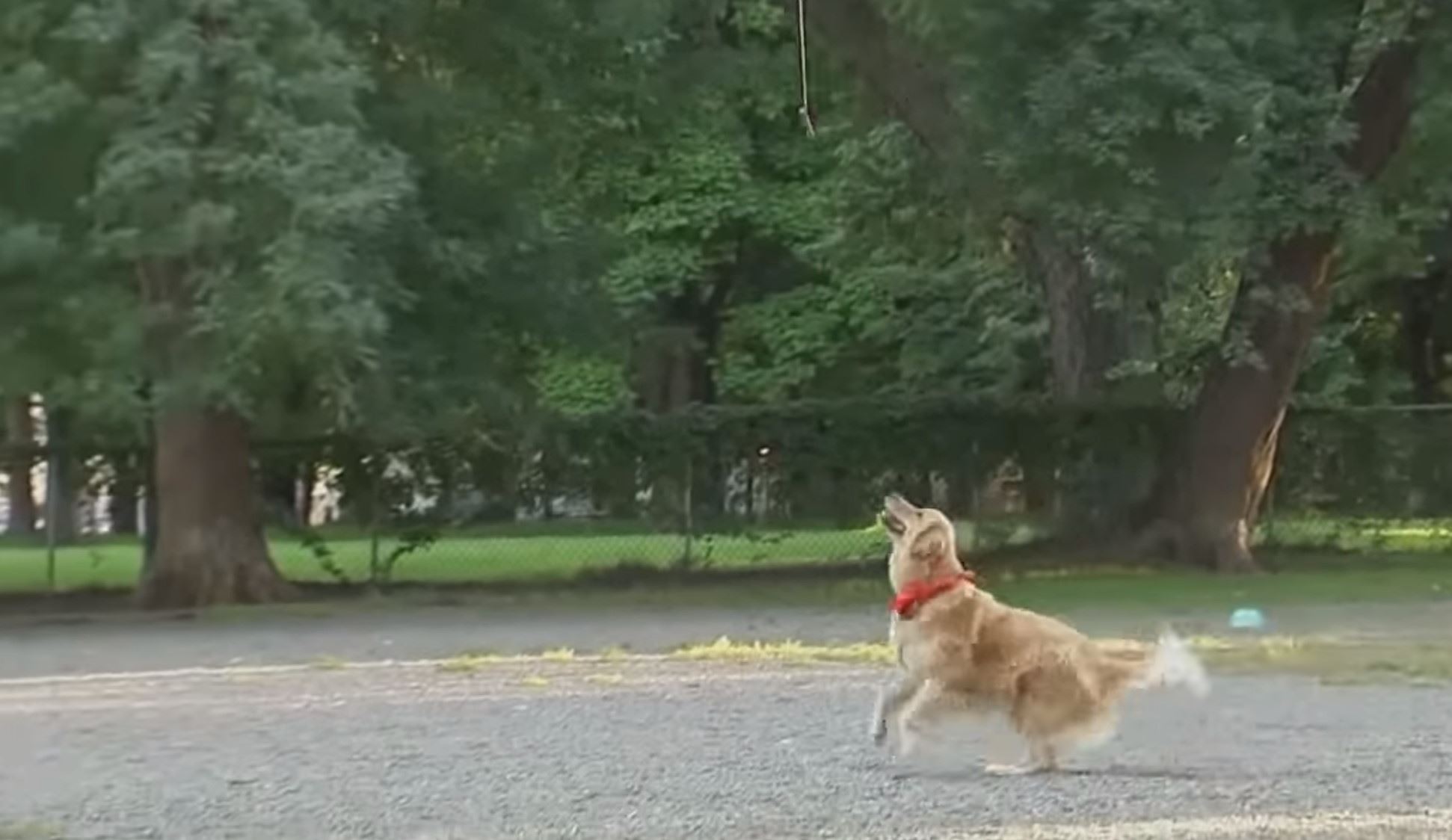 Zbavn scnky zo skrytej kamery