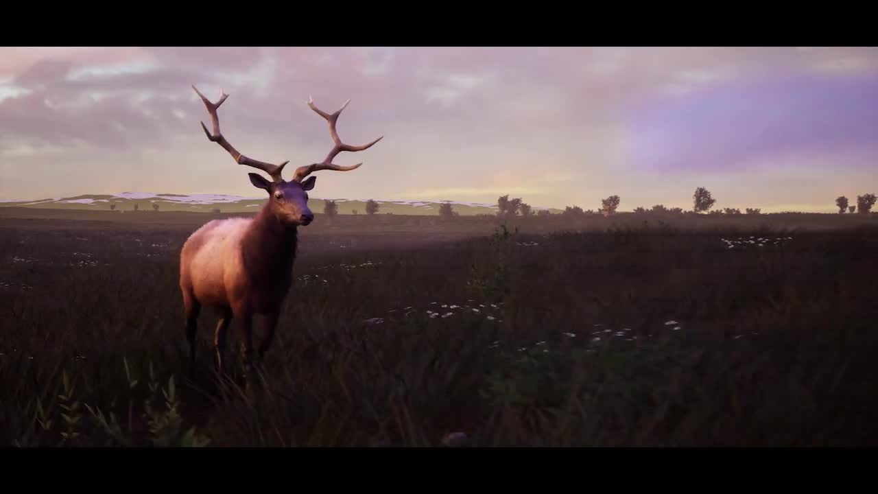 Hunting Simulator 2 ukazuje svoj betir a taktiku lovu