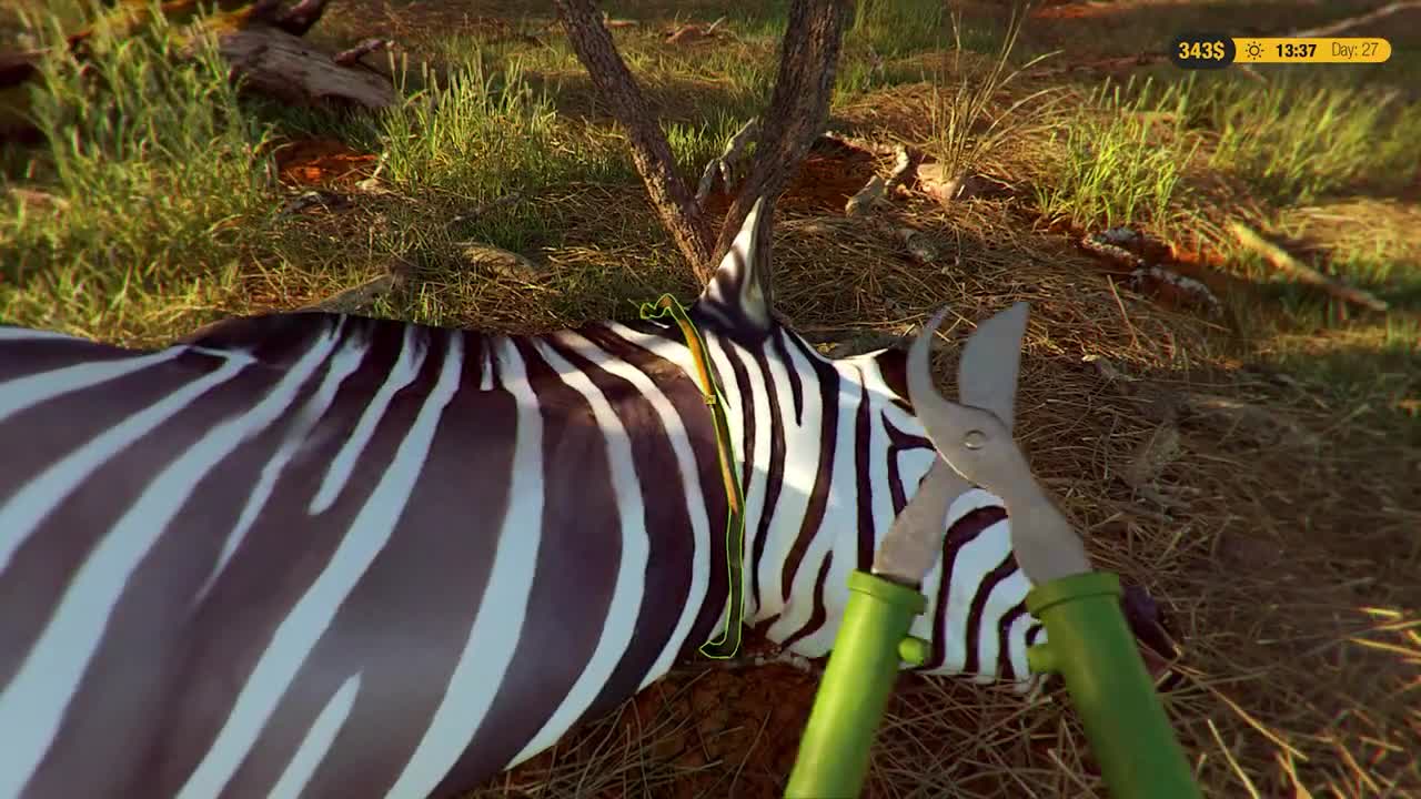 Safari Park Ranger  bude chrni zvierat v nrodnom parku a sprevdza turistov 