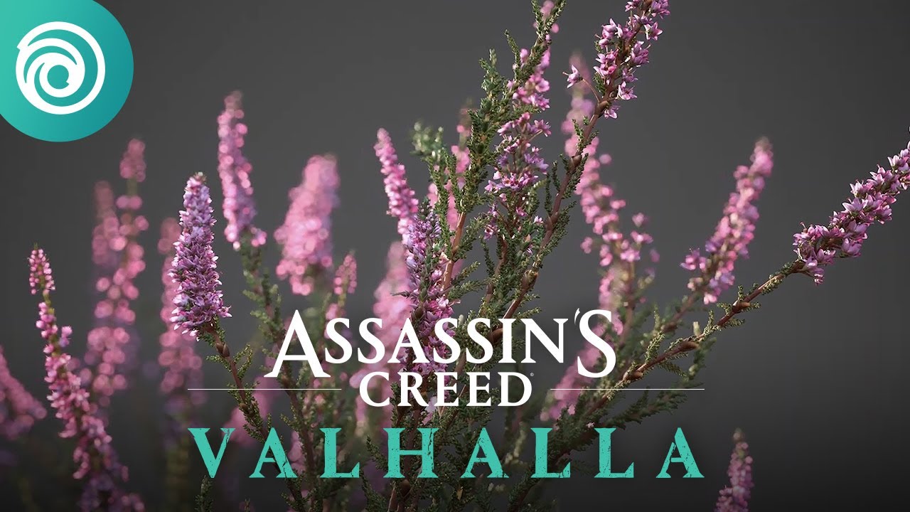 Ubisoft ukzal tvorbu flry v Assassin's Creed Valhalla