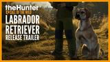 theHunter: Call of the Wild dostal oddanho labradora