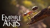 Empire of the Ants vypúšťa mravce, prevezmite svoju kolóniu