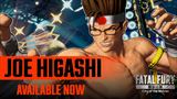 Joe Higashi prichádza do FATAL FURY: City of the Wolves
