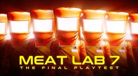 Swapmeat zana posledn playtest a nasledova bude Early Access