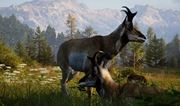Way of the Hunter 2 dost�va tret� update v early access