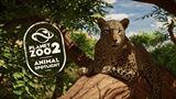 Planet Zoo 2 predv�dza elegantn�ho africk�ho leoparda