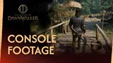 The Blood of Dawnwalker ukazuje konzolov� performance re�im