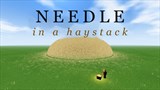Needle in a Haystack