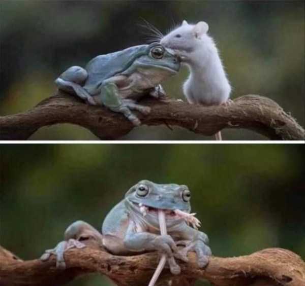 Pozor, koho si vyberiete ako kamarta