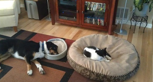 Na tomto obrzku nieo nesed