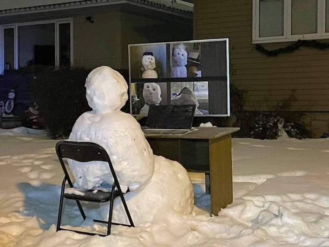 Snehuliak sa chce rozli s kamomi