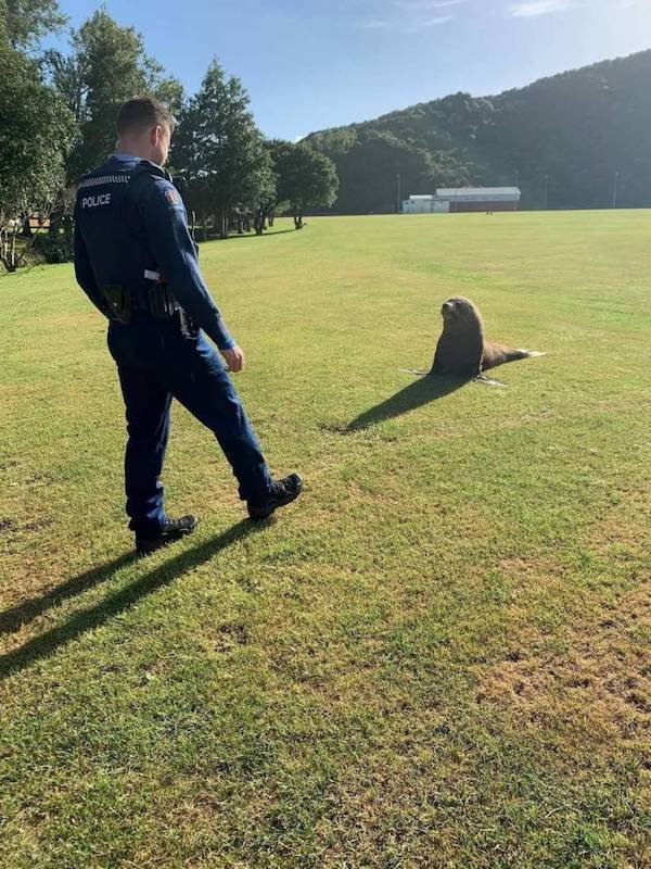 Polcia dostala novho psa