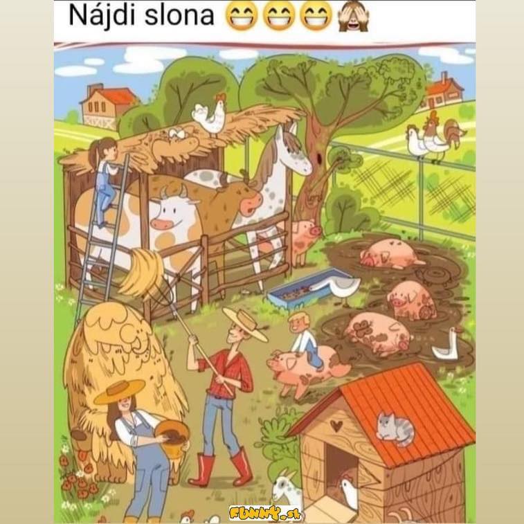 Njdi slona
