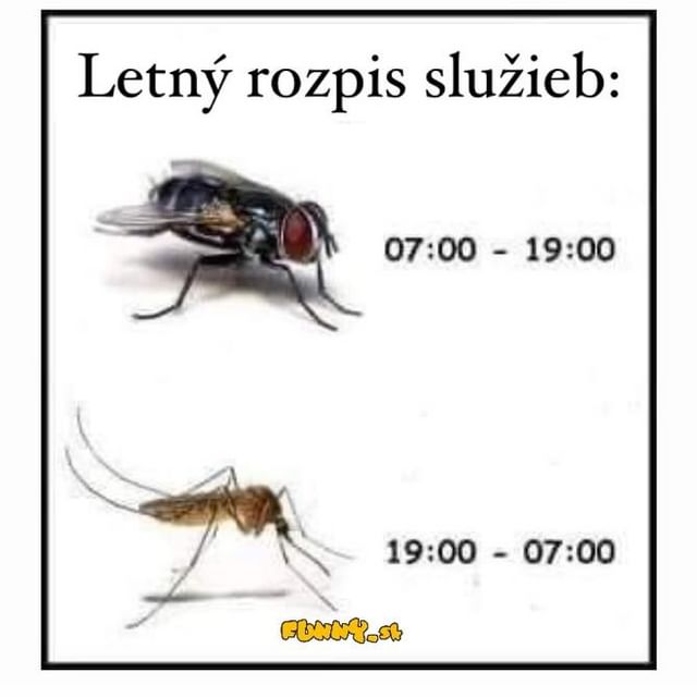 Letn rozpis sluieb priiel