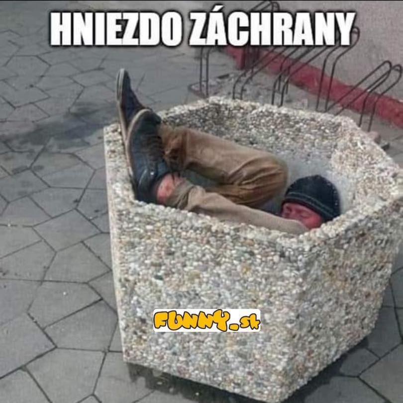 Hniezdo ako hniezdo