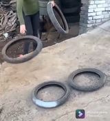 Keď je pes múdrejší ako vy