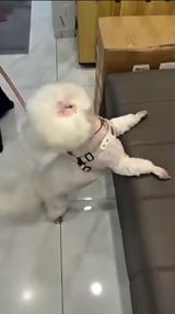 Uf, čo je to za príšera?