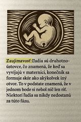 Životná múdrosť