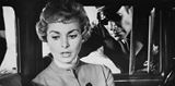 Noir Film Festival 2025: Nae festivalov tipy celho festivalu