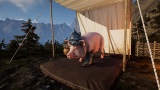 V Medieval Pig sa stanete bojujúcim prasaťom, vyskúšajte si to