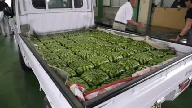 Toto sa k sebe hodí