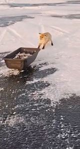 Toto si beriem, sorry �lovek