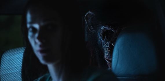 Do k�n prich�dza Prim�t, dom�ci mil��ik, ktor� sa zmen� na mon�trum