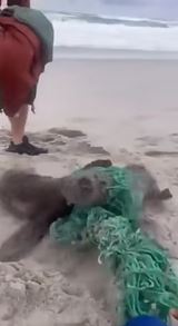 Hlavne, že máme papierové slamky