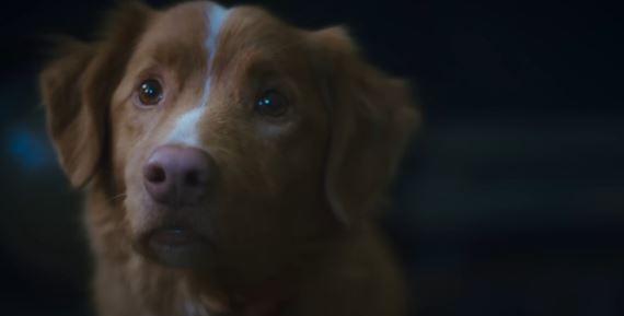 �o sa udialo vo filmovom svete za posledn� dni?