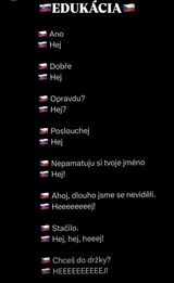 Slovenčina v skratke