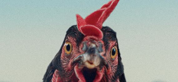 Provokat�r Gy�rgy P�lfi prich�dza do k�n s �iernou kom�diou Sliepka