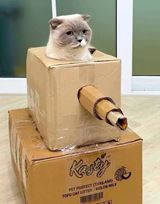 V�kendovky