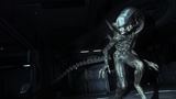 SEGA odhalila zostavu na Gamescome, zahráte si Alien: Isolation 2 aj Persona 4 Revival