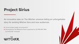 Witcher multiplayer hra Project Sirius prišla o takmer tretinu tímu