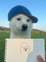 V�kendovky