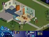 The Sims