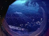 Secret of the Nautilus